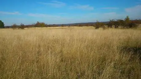 Photo de carrieres Woods