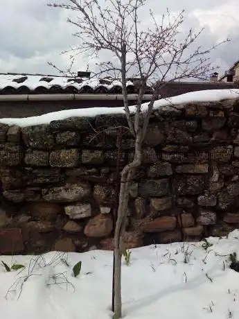 Photo de El Trill | Associació cultural del terme d'Argençola
