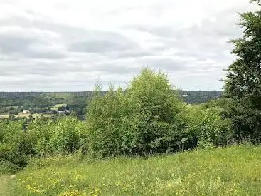 Photo de Norbury Park - Viewpoint