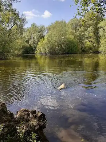 The Richardson and Amey Nature Reserve