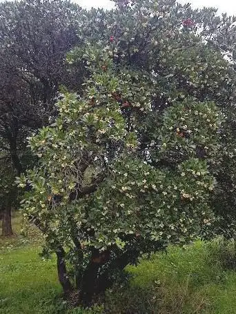 Photo de Domaine de la Mazetière