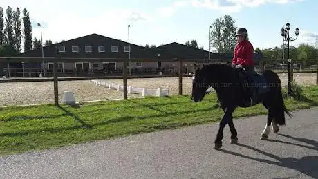 Equestrian Center Dordrecht