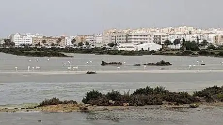 Caño de Sancti Petri