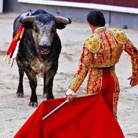 Photo de Madrid Bullfighting Tickets