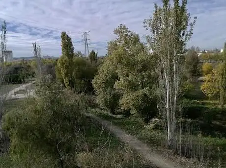 Photo de lineal del Culebro Park