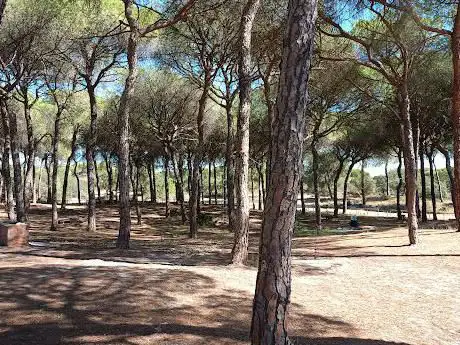 Area Recreativa Pinos de la Cruz