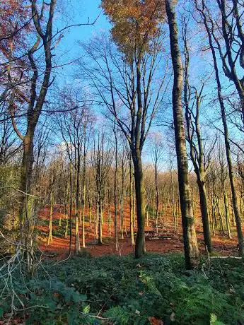 Photo de Bois de la Houssière