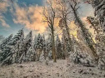 Photo de Bruderholz