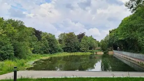 Vijver Abdijpark