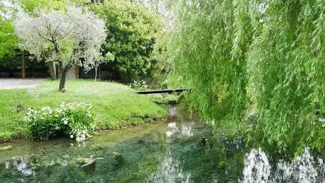 Photo de Risorgive del fiume Botteniga