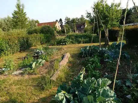 Samentuin De Groenter