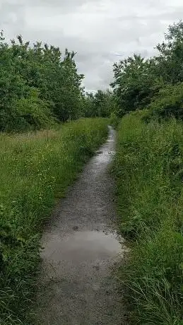 Photo de Coulter's Wood