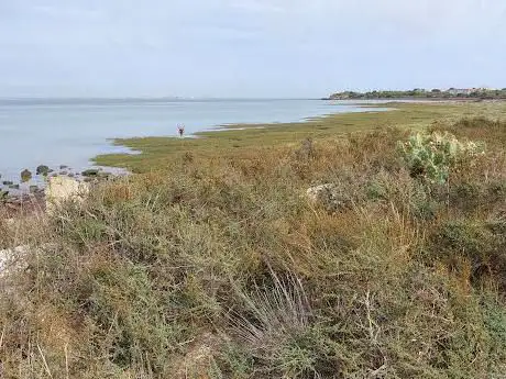 Photo de Polvorines de Fadricas  naturaleza libre para el pueblo