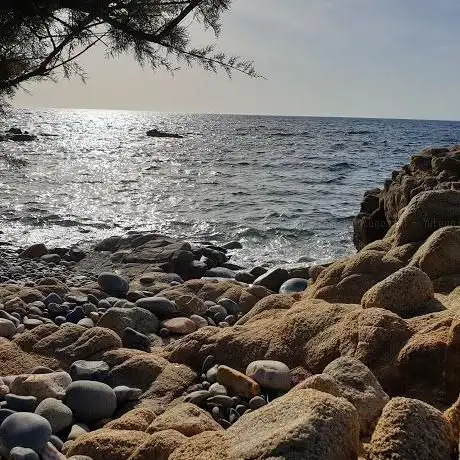 Capo Pecora  is granitus