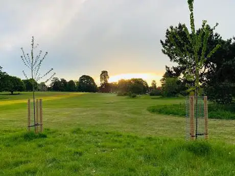 Pond Meadow