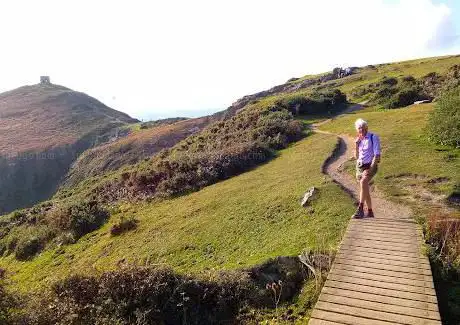 Rame Head Cliffs