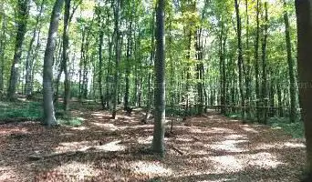 Photo de Régie Com. Autonome de Charleroi