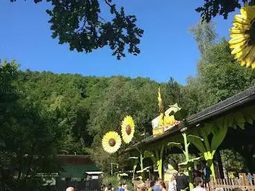 Maya Splash