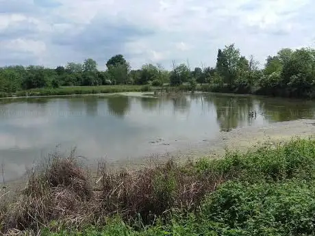 Riale di Parabiago