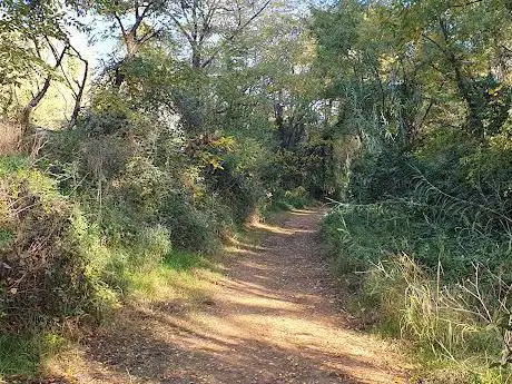 Photo de CamÃ­ fluvial del riu Tenes