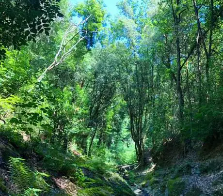 Photo de vecchio mulino