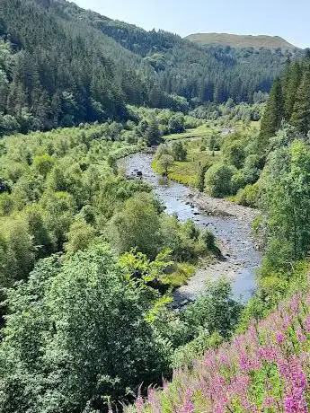 Hafod Estate