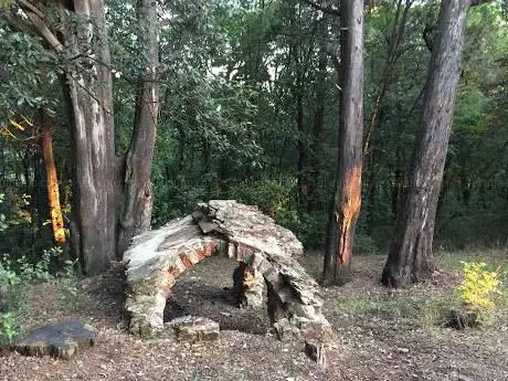 Zona pic-nic bosco di San Vito in Fior di Selva