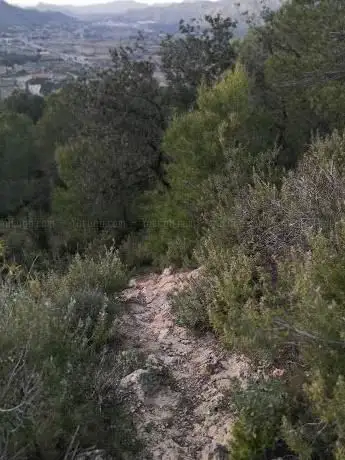 Photo de Cim de La Creueta Montitxelvo