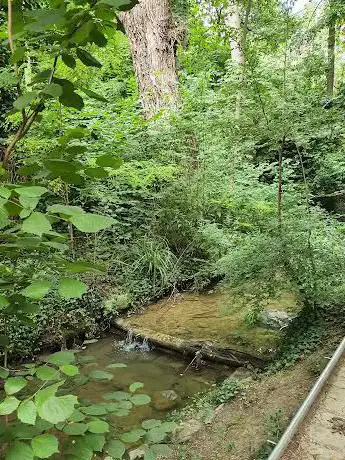 Photo de Parc des Voirets