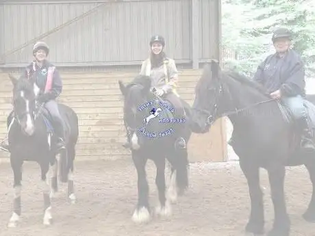 Clevedon Riding Centre