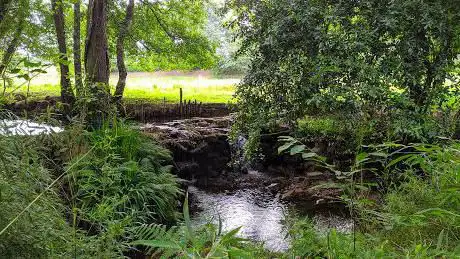 Photo de Paseo do RÃ­o Artes