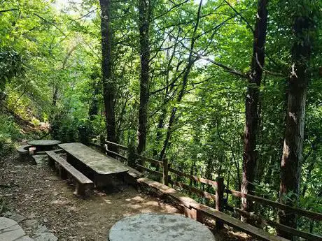 Photo de Font del Bassi