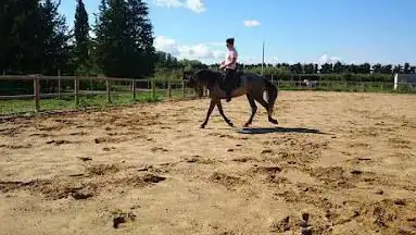 Photo de Les Écuries du Cheval d'Argent