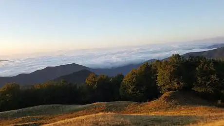 Photo de Bosco della Martese