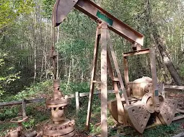 Anciens puits de pétrole de Chailly
