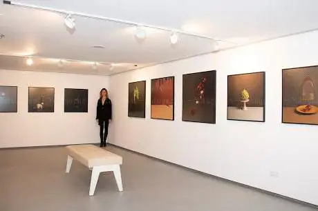 Photo de SHOLEH ABGHARI ART GALLERY