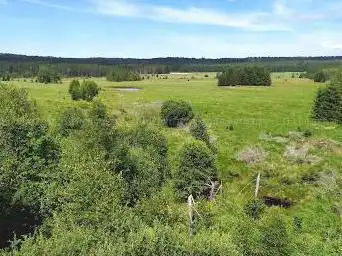 Point d'observation du gibier