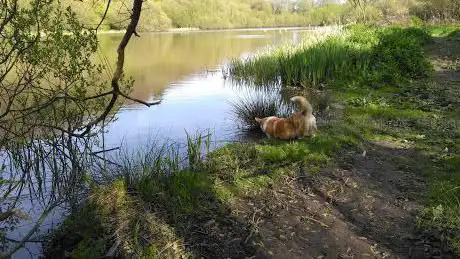 Kenwith Valley Nature Reserve