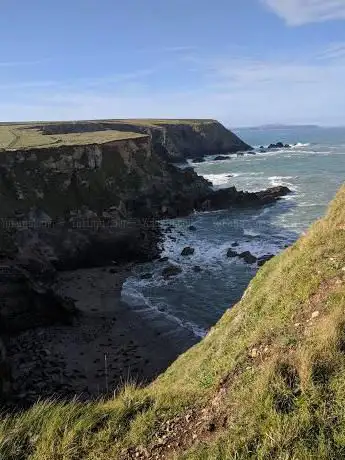 Seal View Point