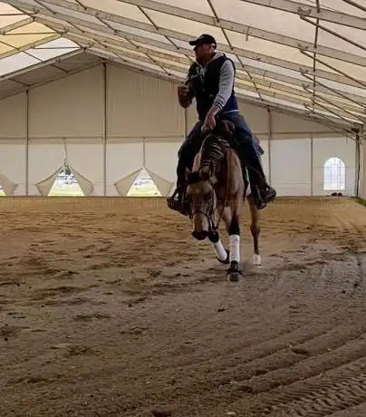 ASD Pironato Reining Horses