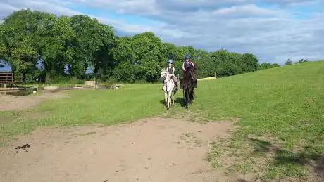 Photo de Tullymurry Equestrian Centre