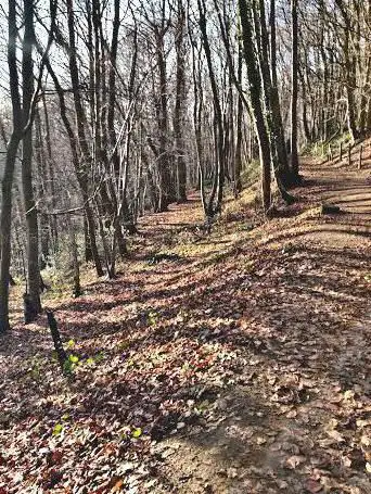Photo de Sentier du Mont Noir
