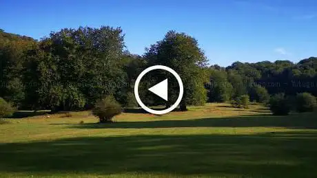 Photo de Parco del Dardano