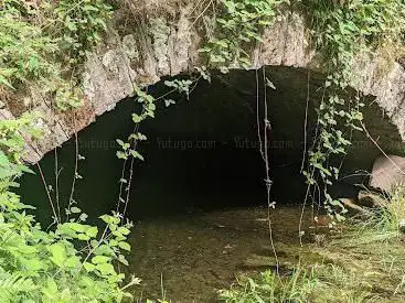 Herzog Karl-II-August-Pfad (Premiumwanderweg)