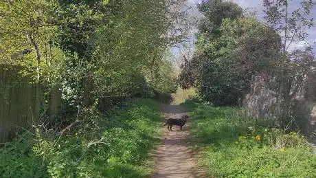 Photo de Willsbridge Valley