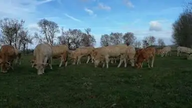 Photo de La Ferme de la Bouriette