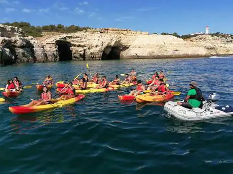 SeaSiren Boat Tours