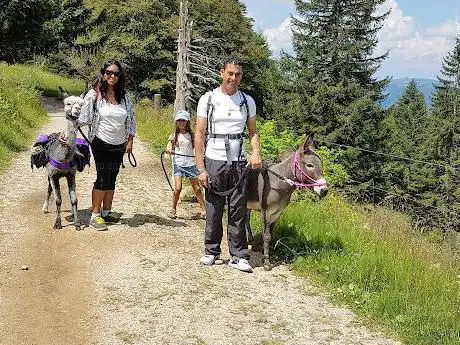 Photo de Esel Trekking am Berg
