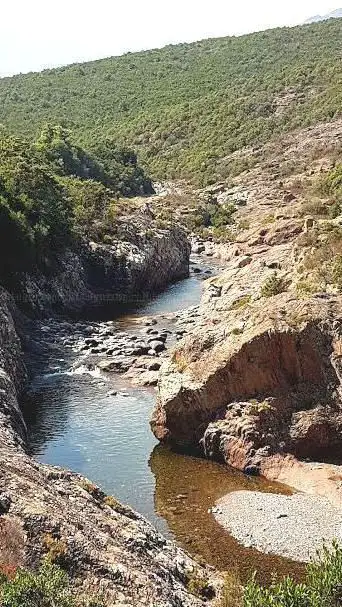 Le pont de Tuarelli, L'île du Fango, Truccia