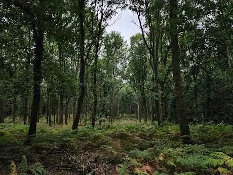 Photo de Woorgreens Nature Reserve